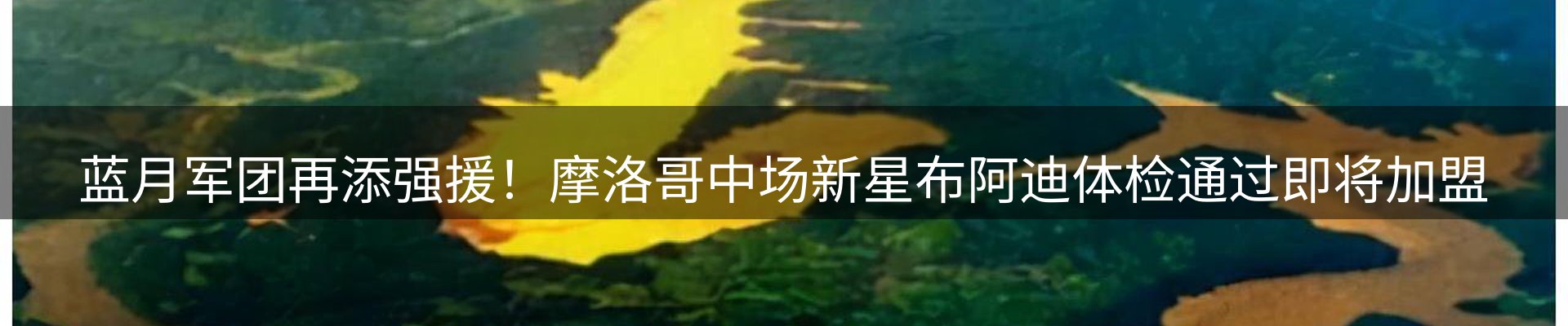 平台资讯